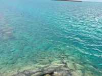 鼓浪嶼號後遺症！！