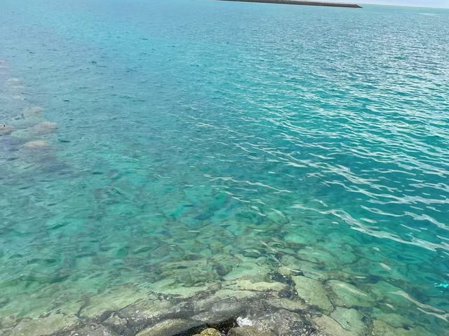 鼓浪嶼號後遺症！！