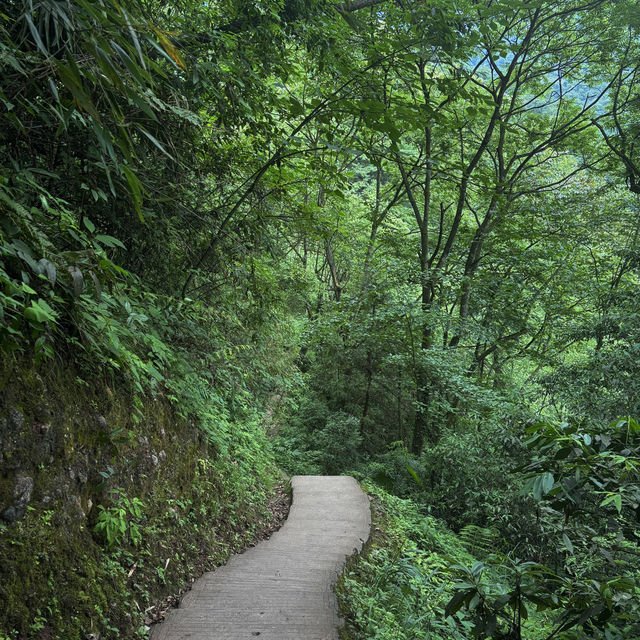 Dujiangyan | Where to take pretty photos even in horrible weather 