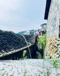漳州鐘騰村：「一府三樓」的人間煙火