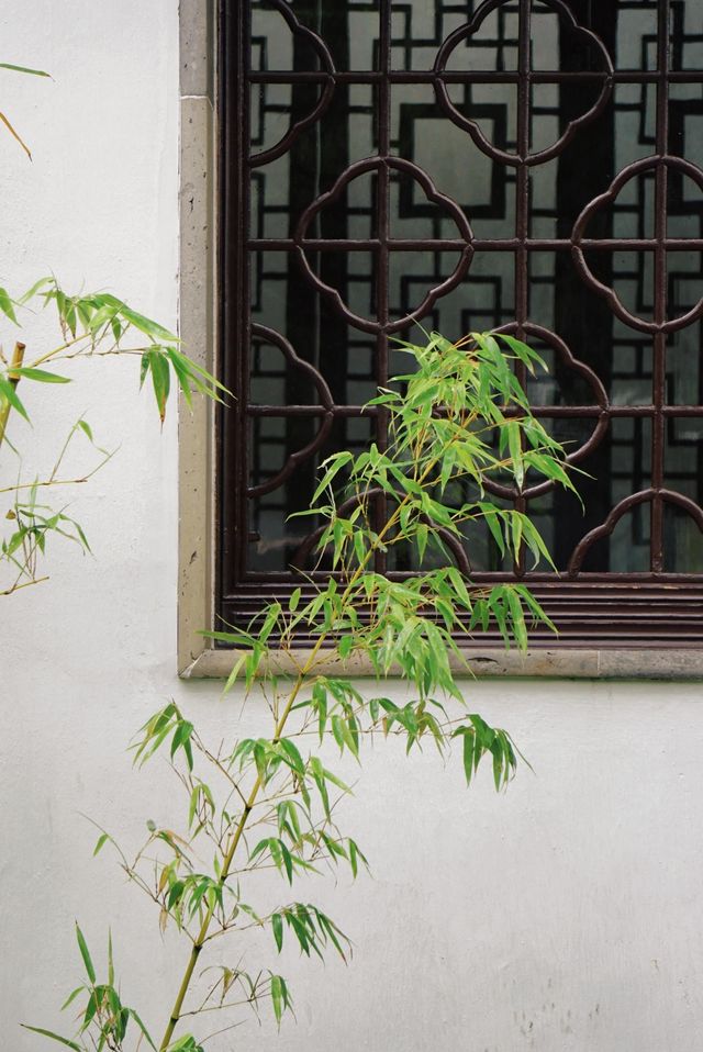 蘇州兩日暴走小眾路線美哭了