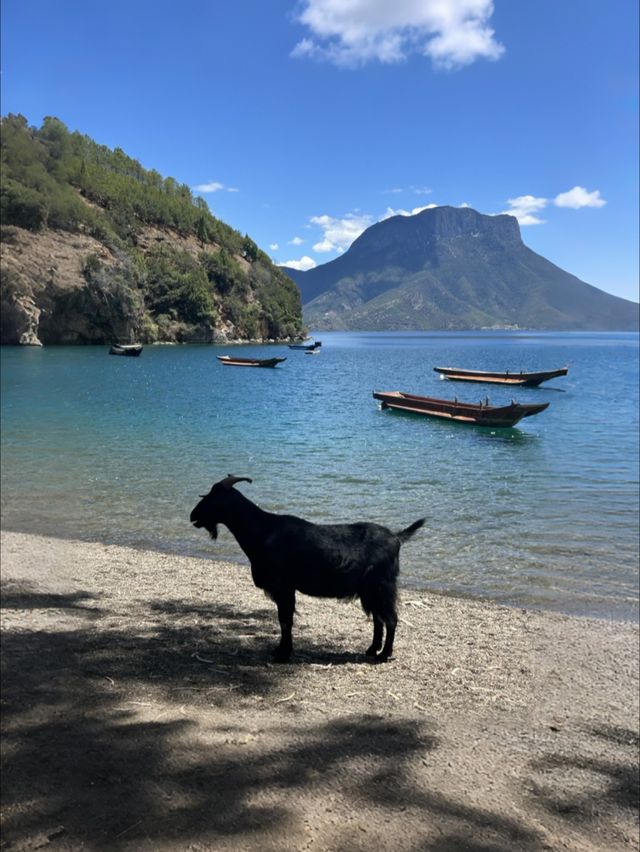 瀘沽湖，晴天嘅瀘沽湖每一幀都好靚