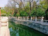 Wisdom & Wontons: A Backpacker's Pilgrimage to Confucius' Hometown