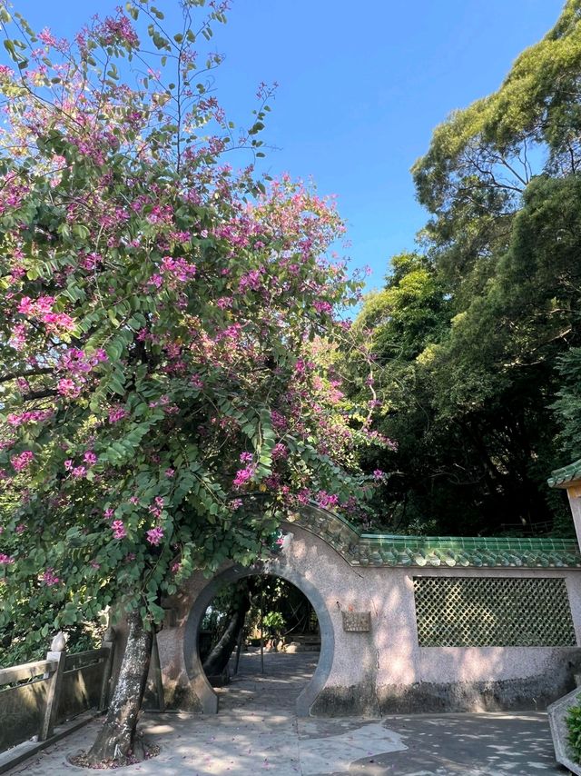 揭陽黃岐山 | 邂逅自然與歷史的詩意之旅。