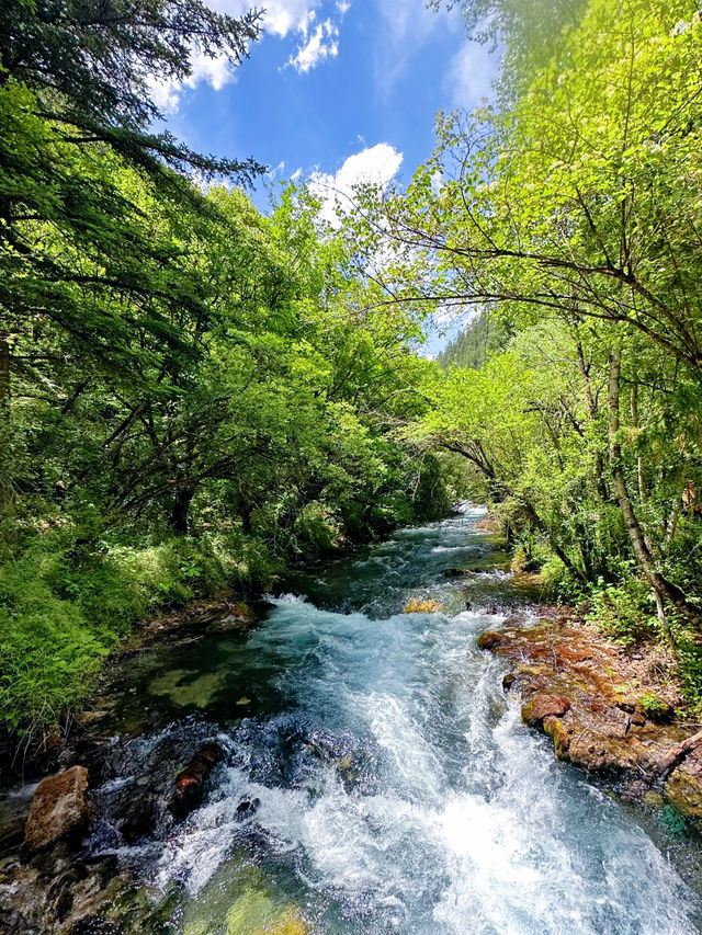 九寨溝兩日遊超詳細攻略，輕鬆掌握絕美風景
