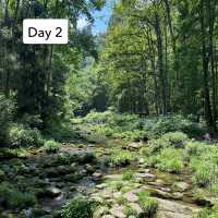 Detailed 2 Day (of 4) Itinerary for Zhangjiajie - Zhangjiajie National Forest Park