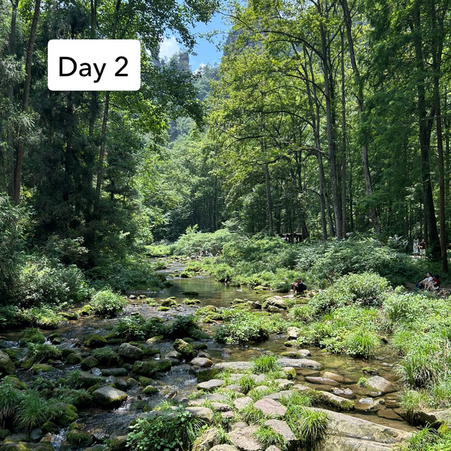 Detailed 2 Day (of 4) Itinerary for Zhangjiajie - Zhangjiajie National Forest Park