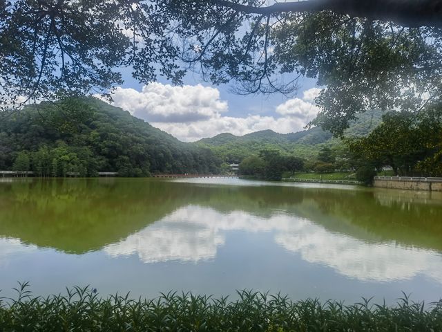 隱藏於白雲山麓嘅翡翠秘境