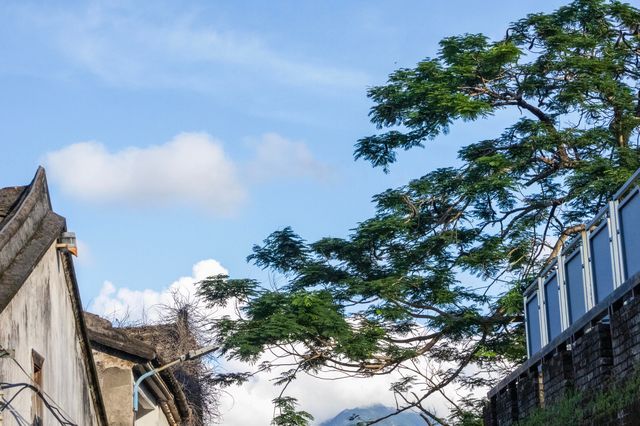 「深圳周邊遊｜大鵬所城旅遊攻略