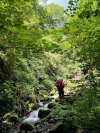 本溪｜淌石溝-東大崗-刺花溝