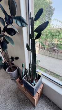 崇明枕住星河入夢嘅寶藏民宿