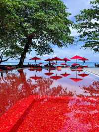 🌴 Star Voyager Cruise to Koh Samui – A Tropical Escape
