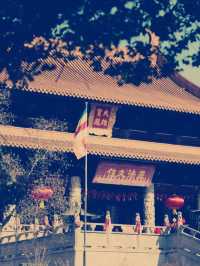 南京長蘆寺 禅意の旅