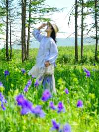 山坡上花開，我與春風撞個滿懷