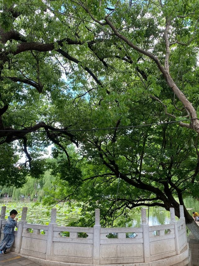 我本無意入江南，奈何江南入我心！