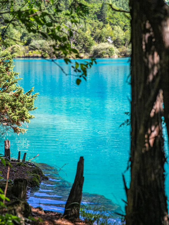 🔥Who hasn't visited 25°C Jiuzhaigou in the middle of summer yet~
