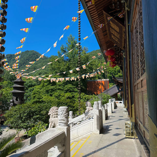 寺廟上香，法喜寺晨遊：清晨靜謐禮佛，感受古剎禪意