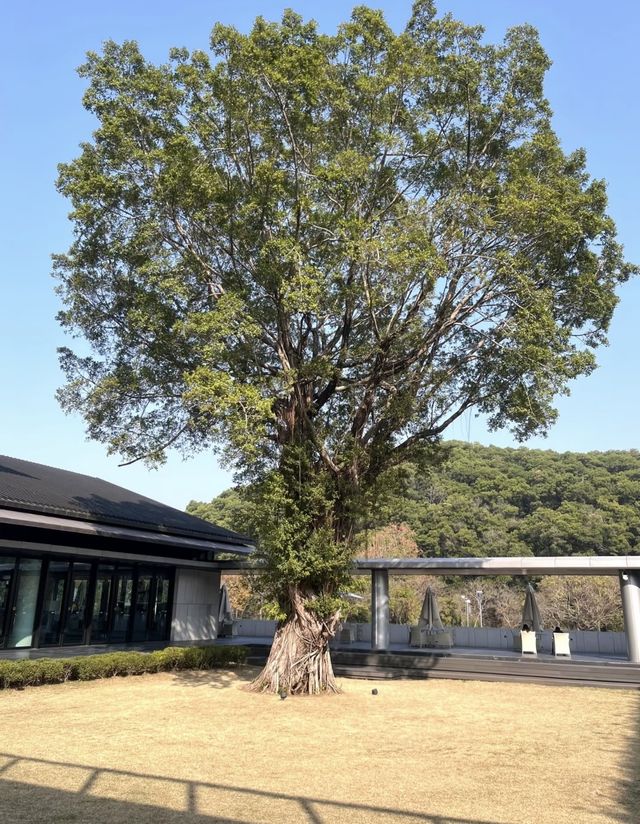 廣州鳴泉居度假全攻略