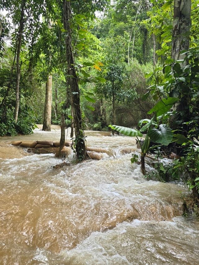 Kuang Si Waterfalls in the Rainy Season: Wild, Wet, Worth It