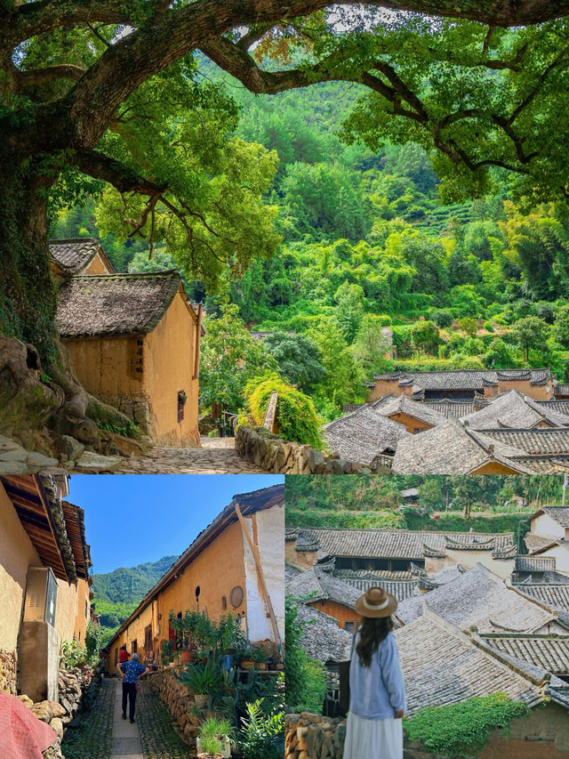 《國家地理》認證的江南秘境！松陽後畲村