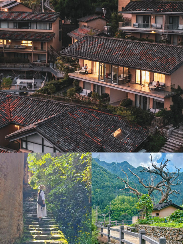 《國家地理》認證的江南秘境！松陽後畲村