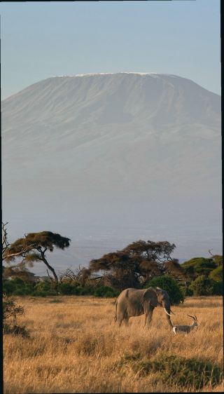 Must-Visit Landmarks in Maasai Mara