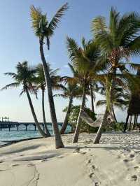 A Fabulous Family Stay at Heritance Aarah