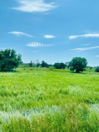 草原深處的靜謐——天保那蘇圖景區
