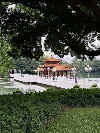 Lychee Park Shenzhen