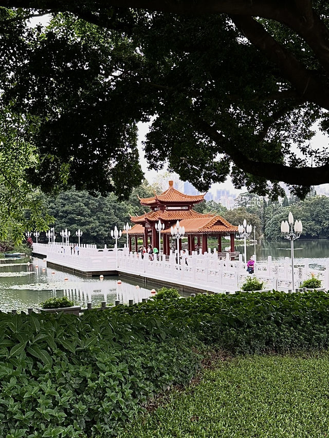 Lychee Park Shenzhen