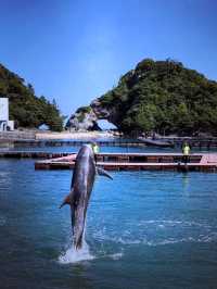 和歌山療癒鐵道+海洋生態行程