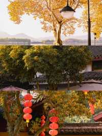 杭州賞秋全攻略9-12月限定浪漫，承包你的秋日浪漫！ 杭州的秋天，是桂花香裡藏著的溫柔，是銀杏楓葉暈染的斑斕，是水杉蘆葦搖曳的詩意～十年攝影博主私藏賞秋地圖，帶你解鎖杭州最動人的秋日畫卷👇