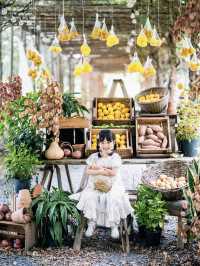 蘇州出發1h在植物圖書館農場過夏天