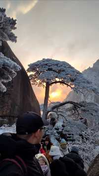 黃山冬日仙境！保姆級雪景攻略+冷門機位大公開 杭州出發2h直達！黃山雪景封神了家人們！ 