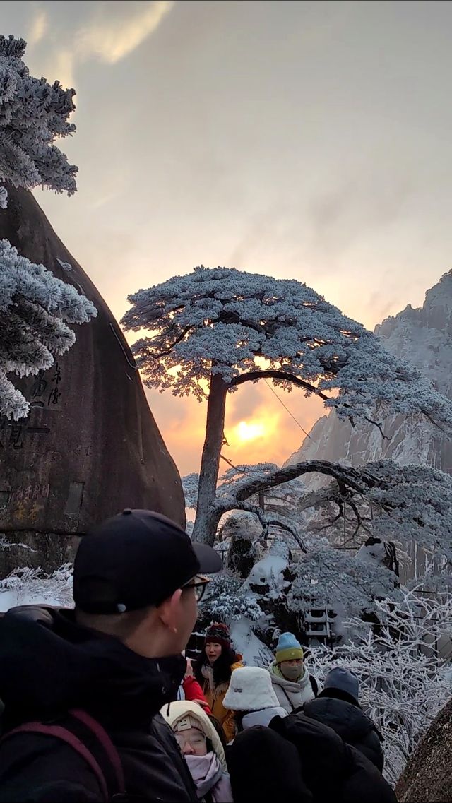 黃山冬日仙境！保姆級雪景攻略+冷門機位大公開 杭州出發2h直達！黃山雪景封神了家人們！ 