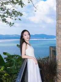 去有風的地方，風之嵐島