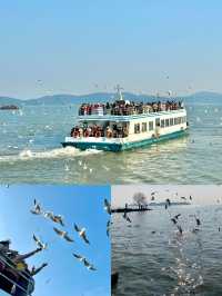 奔赴太湖，邂逅秋日浪漫盛宴