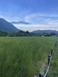 深圳最美濕地公園徒步攻略