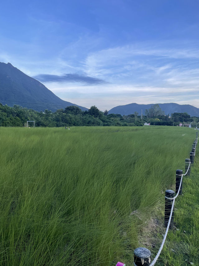 深圳最美濕地公園徒步攻略