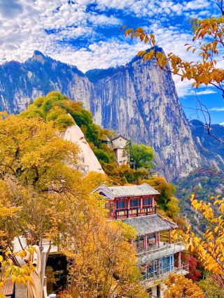 For autumn trips to Mount Hua, choose the North Peak route with a cable car that takes you straight to stunning fall scenery!