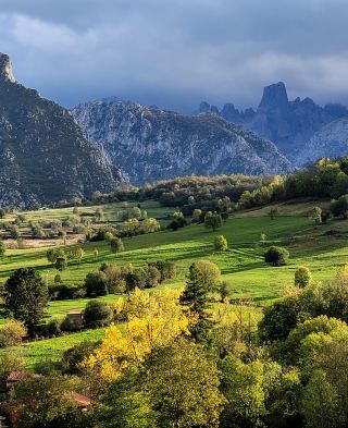 The Heartbeat of Asturias: From Cangas de Onís to Oviedo
