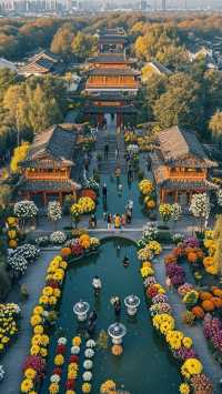 “百菊爭鋒!萬歲山驚現『花中江湖』,這波秋日浪漫藏不住了!”