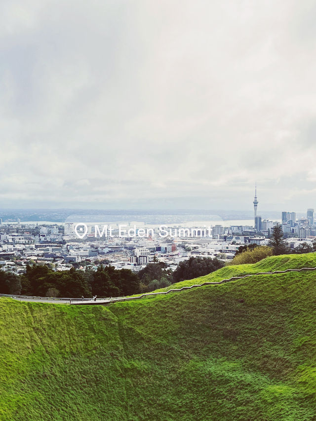 Meadow Magic Auckland🌱🌋 Mount Eden Lookout: Auckland's Ultimate 360° View!