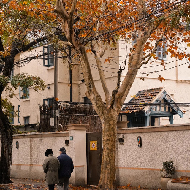 🍂상하이의 가을, 이 도시를 사랑하는 이유