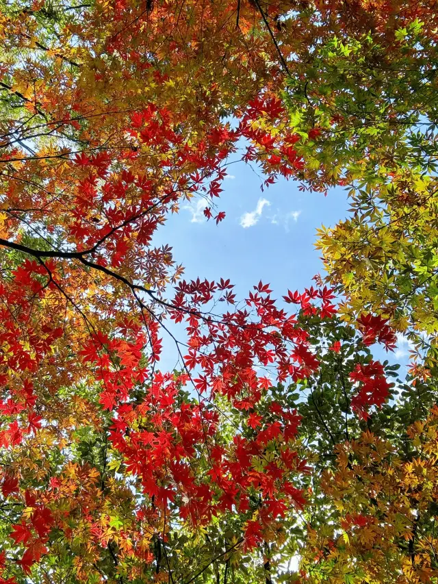 Artistic Route for Roaming Kunming