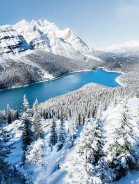 誰懂班夫4日遊！這篇超全旅遊攻略抄作業！