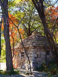 11月博山九龍峪遊玩攻略：萬畝紅葉+網紅玩法，承包秋日浪漫