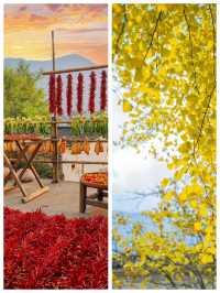 篁嶺曬秋濃，古城煙火暖