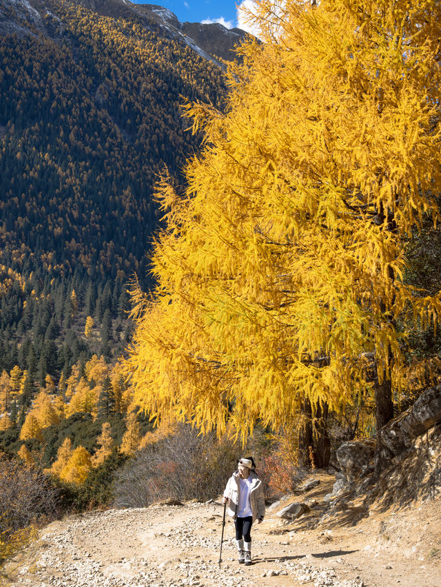 在川西，拍到了我的人生照片～
