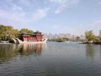 Tang Paradise: A Must-See Day & Night Experience in Xi'an